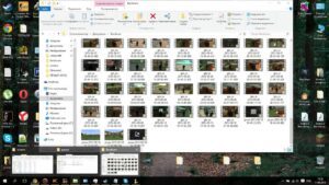1739897312_maxresdefault.jpg