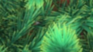sjnefDmHYIew_x1mg4TDx3B-f4mf_ihQLIlh_cWcz4w8sEYrEib3jJ8LhA3jDsYMDKDm8UNX5t1NOOjnSYlWKOCTyHb2Abb_sQ4Z.jpeg