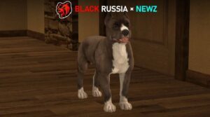 to2Tvl7Per20r1to3yi1exmWciVbIjot1w8Bp-3_-hmoR0zVAkXT4T9vg0fjX9AqjZCP4Ox2uOo1o1VgXxnDk54VzaCeVgrXODkr.jpeg